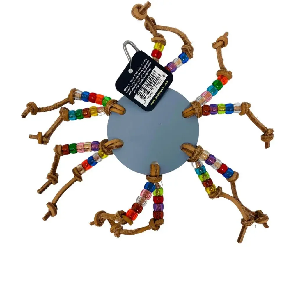 Scooter Z's Mirror Sunshine Bird Toy With Beads on Leather